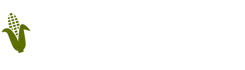 ―店内のご案内―