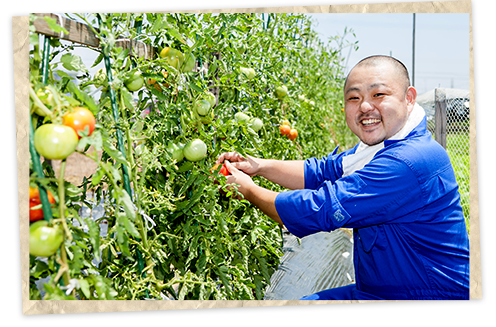 トマト収穫笑顔